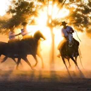 Wood Prints 70x100 cm / 28x40″